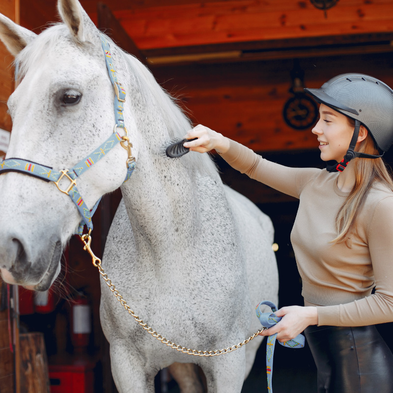 Grooming Show Ring Supplies