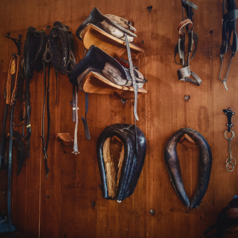 Horse and Rider Acessories